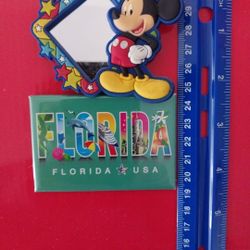 2- DISNEY/FLORIDA FRIG. MAGNETS