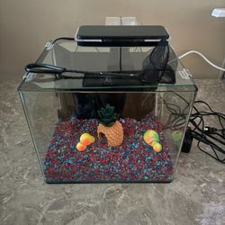6 Gallon Fish Tank