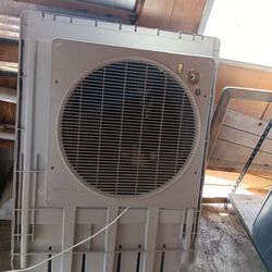 Bonnaire, Swamp Cooler