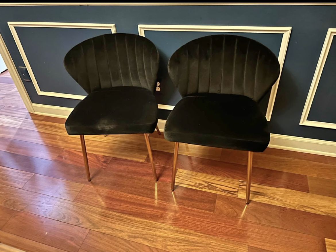 Beautiful Black And Gold Velvet Chairs