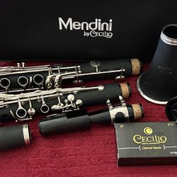 Mendini clarinet with carry case in excellent condition. $65