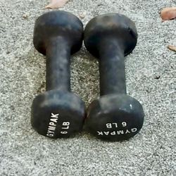 8 POUND DUMBBELL SET  FIRM PRICE  