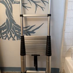 Aluminum Telescope Ladder 12 Feet