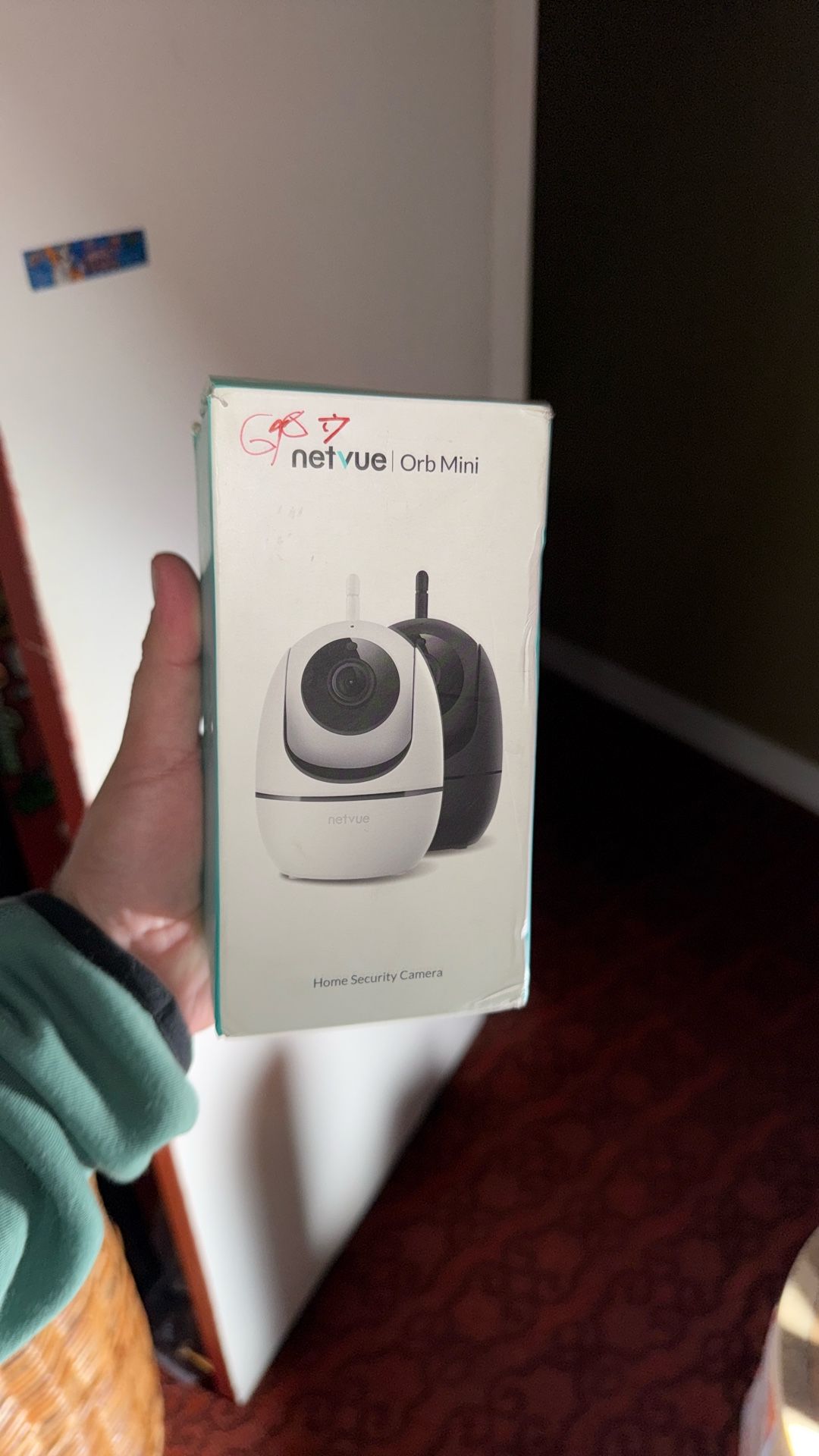 Security Camera Orb Mini By Netvue