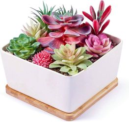 7 Inch Square White Ceramic Succulent Cactus Plants Planter Pot with Drainage Bamboo Tray （Large）