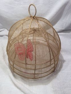 Food screen protectors for outdoors