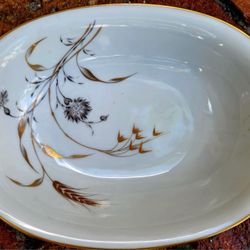 Bavarian Bone China 10" Bowl