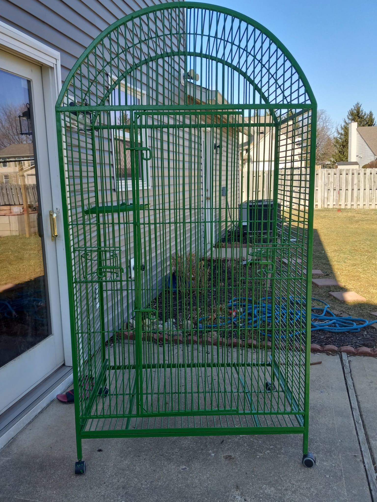 Bird Cage 