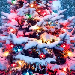 Look At My Page For Christmas Items