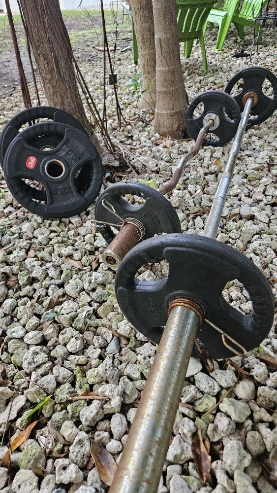 Barbells And Weights