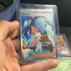 Dendra SIR Pokemon