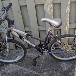 Girls Bicycle