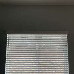Blinds For Sale
