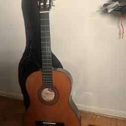 Acoustic guitar
