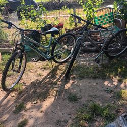 2 Mountain Bikes
