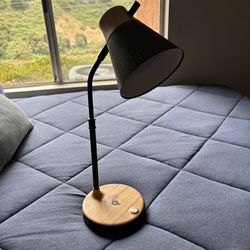 Ottlite Desk Lamp - Wellness Series