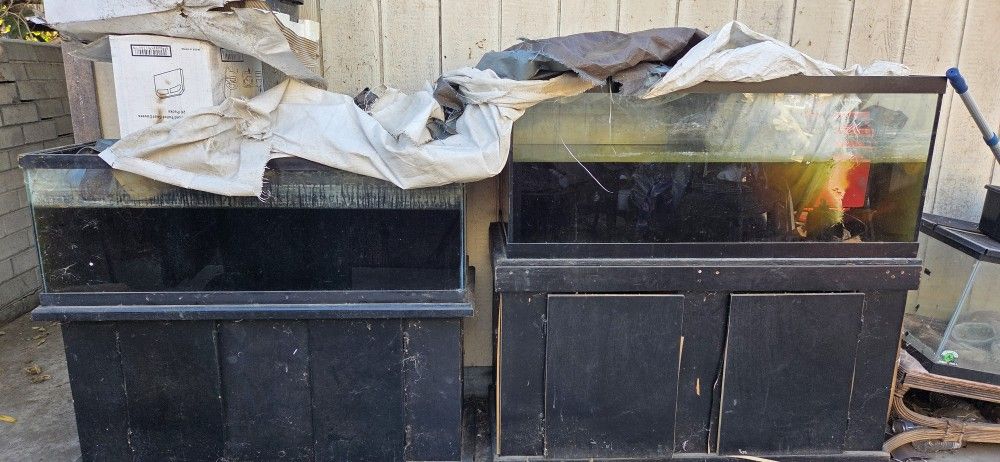 Free Fish Tanks
