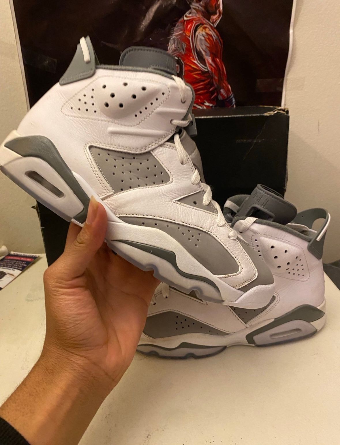 Cool Grey Jordan 6