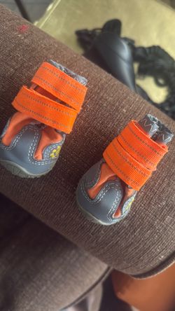 dog shoes