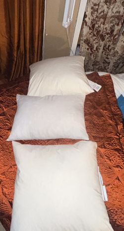 Pillow Inserts