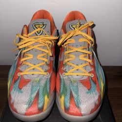 Kobe 8 Venice beach Protro
