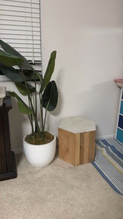 Artificial plant 🌱