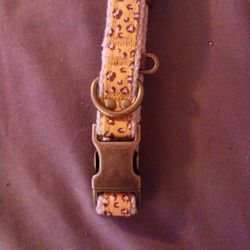 Small CHEETAH Print Collar