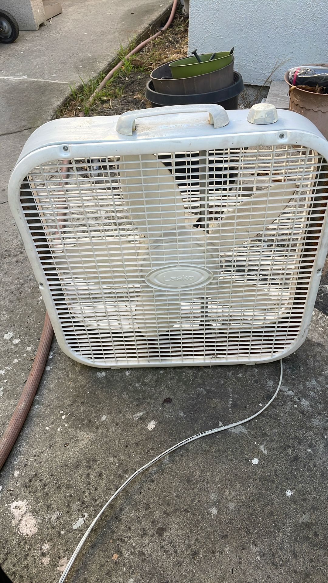 Fan