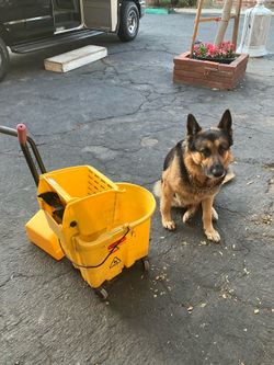JANITOR MOP BUCKET