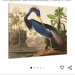 30Lx40W Louisiana Heron Replica 