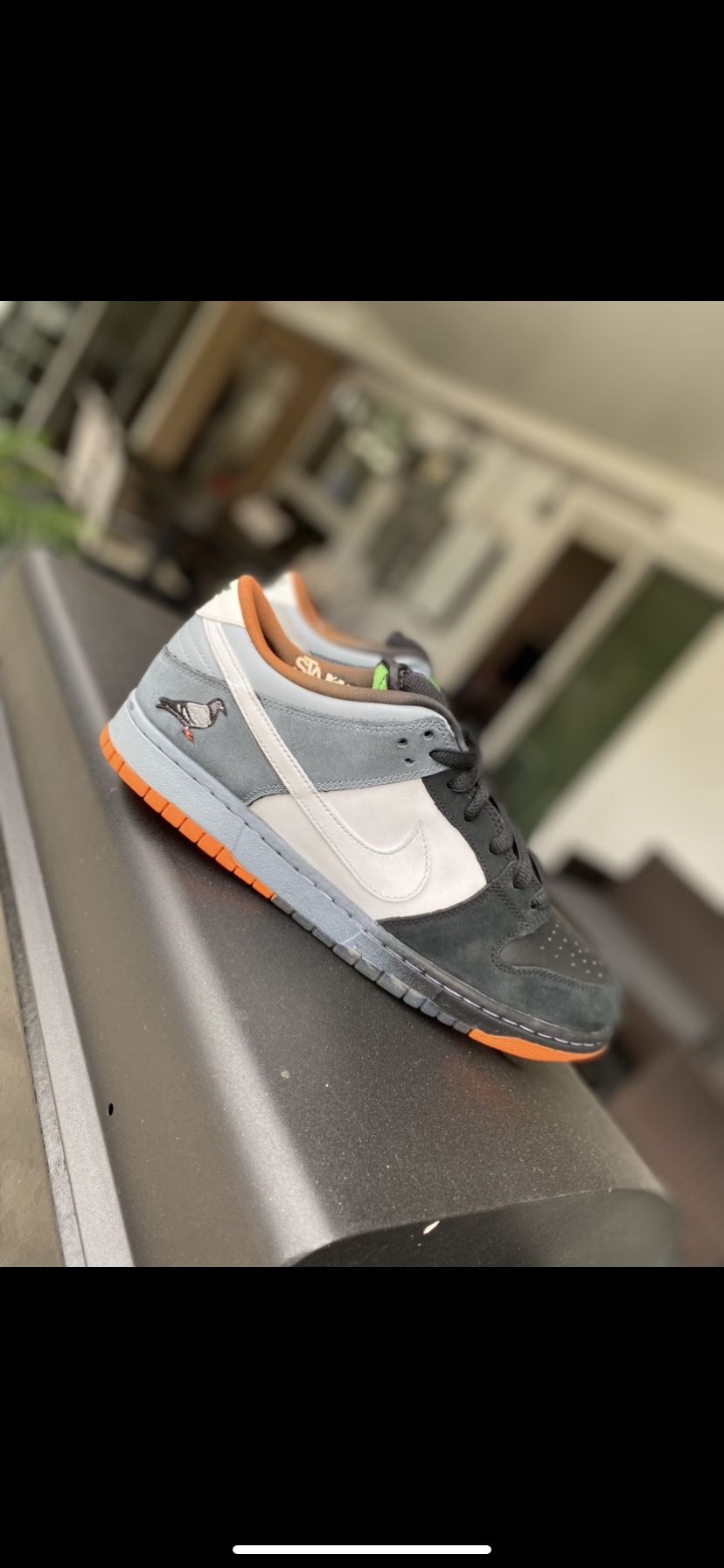 1 of 4 Jeff Staple Pigeon SB Dunk