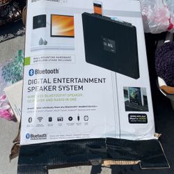 New Entertainment Speaker
