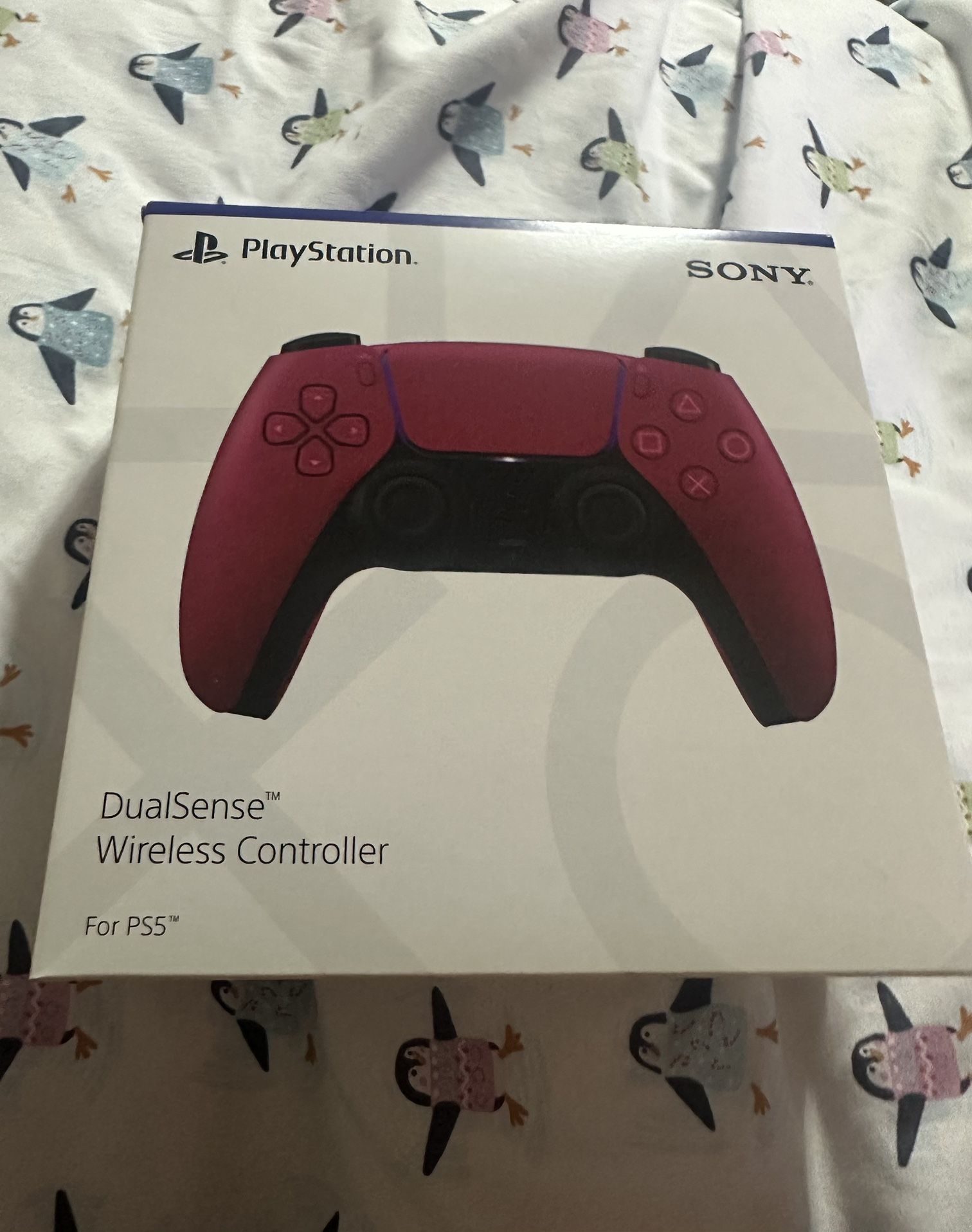 PS 5 Controller
