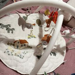 Baby Play Gym And Bouncer 