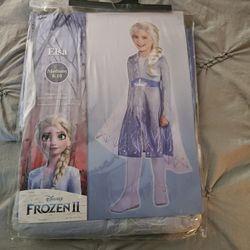 Elsa Costume