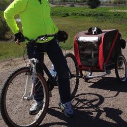 DoggyRide- 2 In 1 Dog Bike Trailer and Stroller 