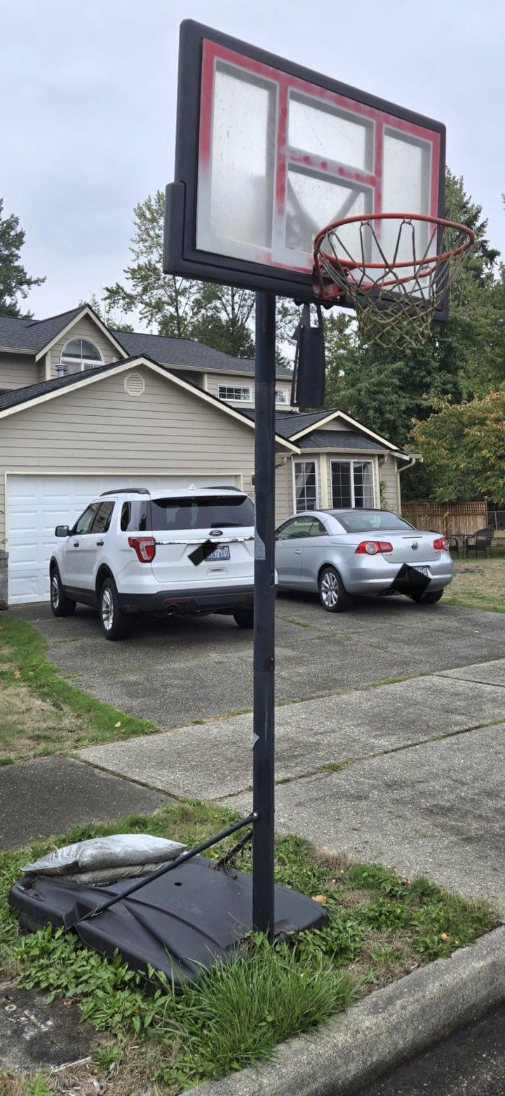 Free Adjustable Basketball Hoop