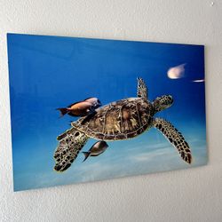 Metal Print Underwater Turtle Photo