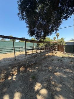 Horses stables