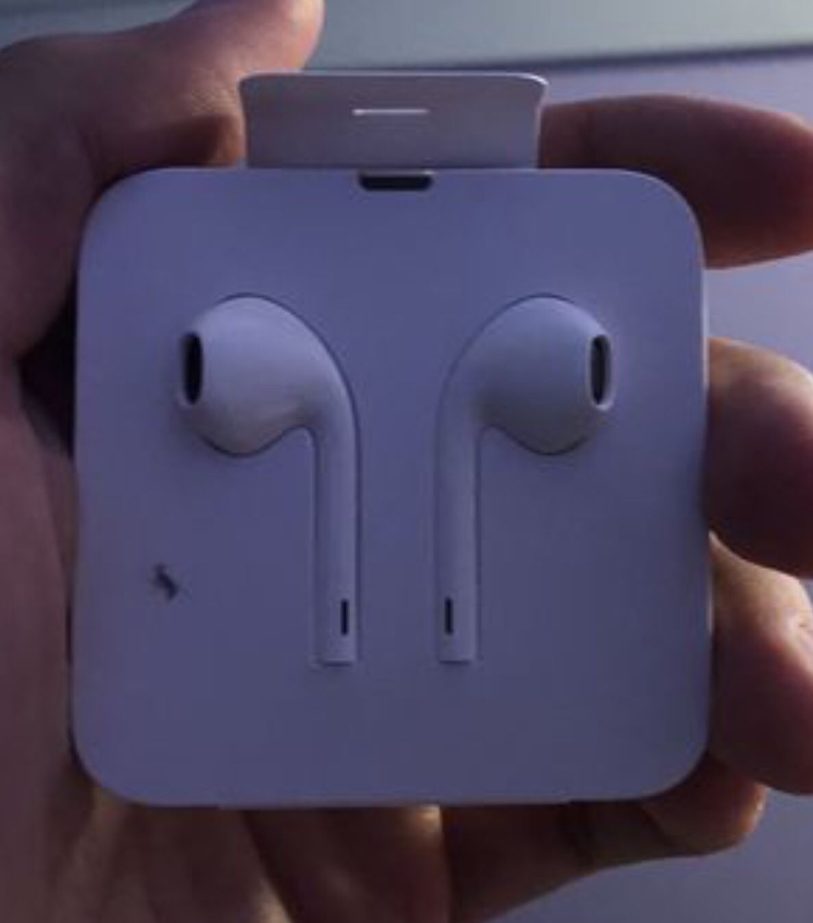Apple Headphones (Lightning) and Lightning Charger