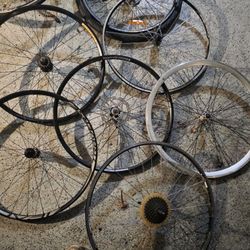 700c. 29er, 26" Bike Rims. $15 Rear Wheel $10 Front Wheel