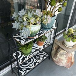 Plant Stand, Tiles AND Succulents!