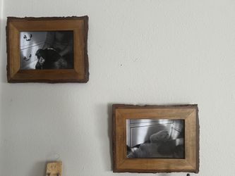 Dog photographs 5x7 Frame