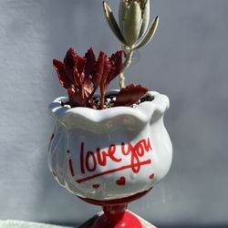 Succulent - Love Bowl & Pedestal 