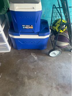 Coolers