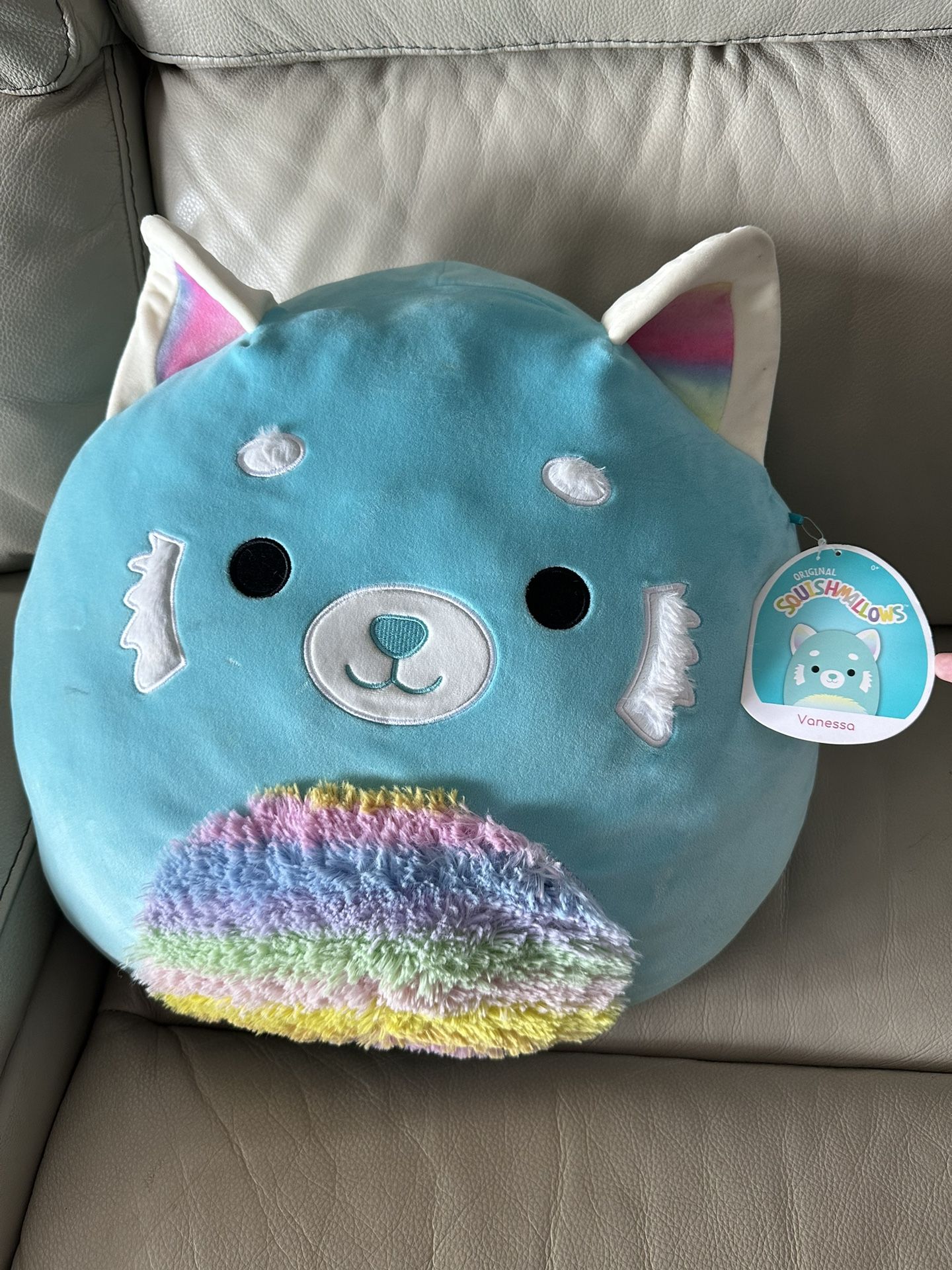Squishmallow Raccoon Vanessa