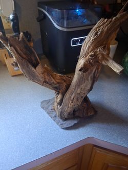 Driftwood