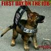 K9Pup