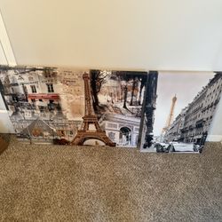 Paris Hanging Picture 