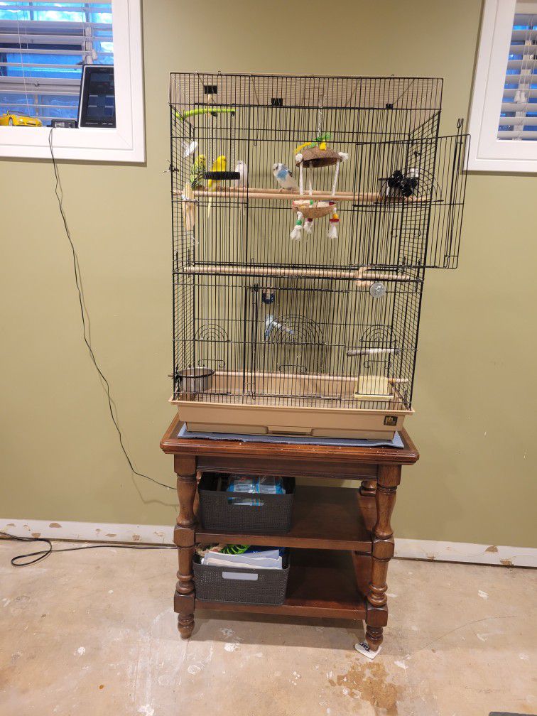 Large Cage for Parakeet. birds